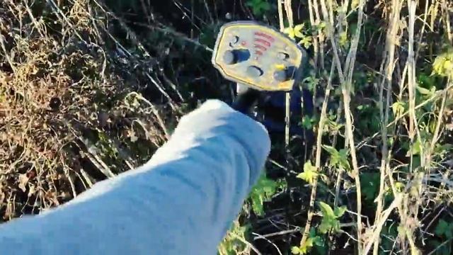 Реальный коп с AR944. Мой отзыв про металлоискатель AR-944 (ST944). Как настроить на чермет, металл смотреть онлайн