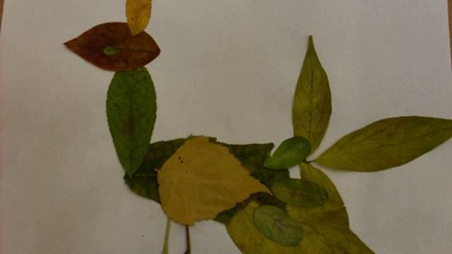 1а листья.mov смотреть онлайн