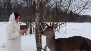 Подмосковный Сафари-парк зимой
