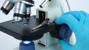 Обзор микроскопа Альтами "Студент"