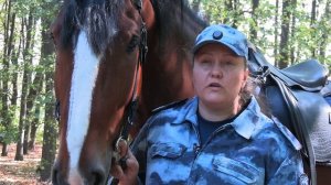 Руководство МВД по ДНР восстанавливает конные патрули