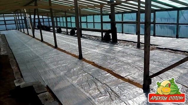 Внутри теплицы для рассады