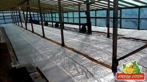 Внутри теплицы для рассады