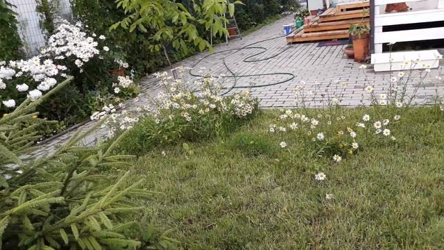 С днём Семьи Любви и Верности Поздравление смотреть онлайн