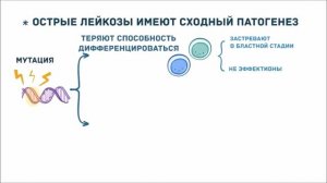 Острый миелобластный и лимфобластный лейкоз