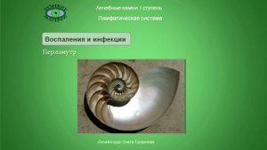Перламутр. Литотерапия. Олег Смирнов