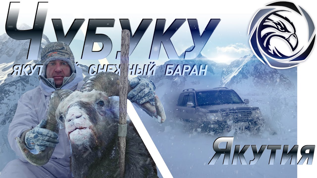ГОРНАЯ ОХОТА НА ЯКУТСКОГО БАРАНА