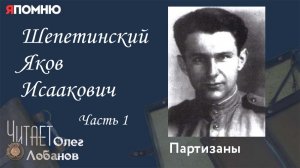 Шепетинский Яков Исаакович. Часть 1. Проект "Я помню" Артема Драбкина. Партизаны