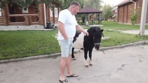 Полуостров Копылово База Тихая Гавань
