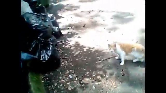 Нашли заброшеные машины! #2