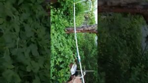 Заменил всасывающий шланг воды из колодцы на полипропиленовую трубу Часть 1