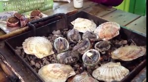 Впечатляющий способ как приготовить живые морепродукты