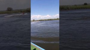 х. Полушкин