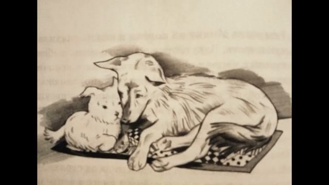 "Щёголь и Милка" , Мария Межакова и "Пальма", Евгений Пермяк. Рассказы о братьях наших меньших - смотреть онлайн