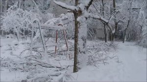Снег в конце зимы ( это случилось за одну ночь )