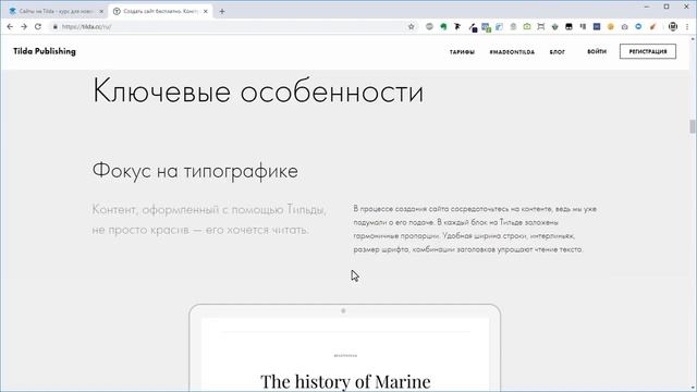 Тильда - конструктор сайтов Tilda.  Что такое Тильда?