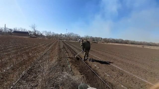 Весна всё-таки пришла. Работа кипит!!! Сажаем шиповник.