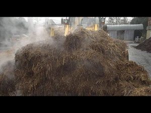 Минсельхозу стало стыдно из за дефицита навоза