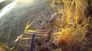 Открытие на утку - СОСТОЯЛОСЬ (1).mp4