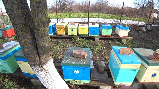 Чем красить ППС улья Варианты