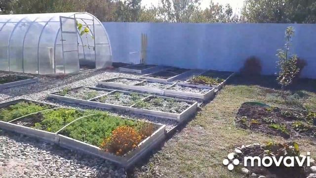 21-22.10.23. Рынок. Цоколь готов. Лаванда. Светильник. смотреть онлайн