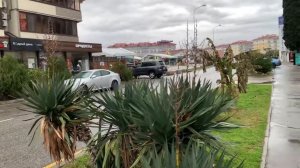 29. .....ИМЕРЕТИНКА , АДЛЕР 01.02.2021 . УЛ. ФИГУРНАЯ