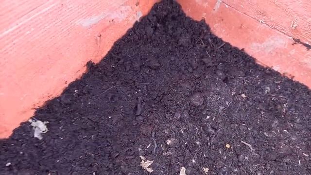 Необычные грядки.Щавель посев весной в открытый грунт смотреть онлайн