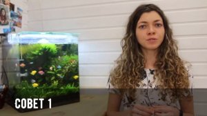 ? Как научиться рисовать с НУЛЯ. 5 СОВЕТОВ.