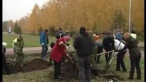 Месяц на уборку в городе