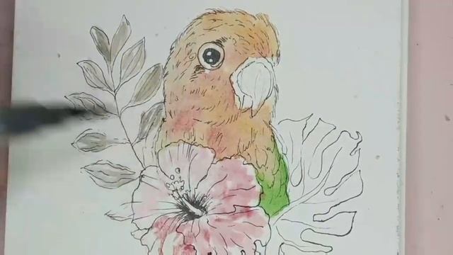 Рисуем птицу акварелью ? мастер класс попугай ? смотреть онлайн