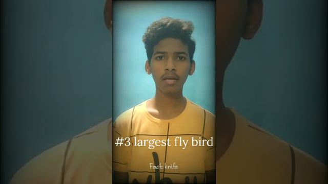 Top 5 fact about birds || interesting facts || fact knife ||