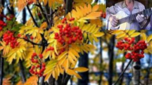 Вновь пора дождей настала  Cover