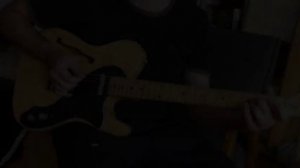 Fernandes TS-55 R8 The Revival Telecaster Thinline Japan