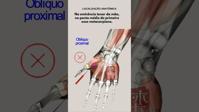 QUAL PONTO É BOM PARA CATARRO AMARELO?