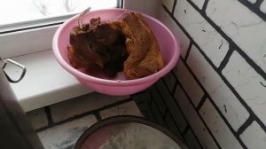 Домашняя коптильня_ коптим мясо на щепе Вишня