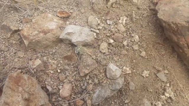 Сумашедшие залежи самородного золота!нашёл залежи крупного место рождения. смотреть онлайн