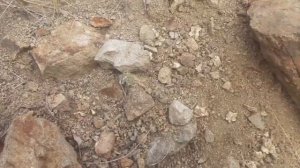 Сумашедшие залежи самородного золота!нашёл залежи крупного место рождения.