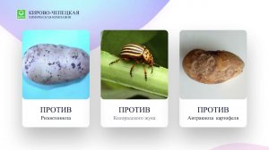 Защита озимой пшеницы в Республике Калмыкия