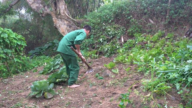 On rainy days, plant vegetables and take care of the garden. The daily life of the poor смотреть онлайн