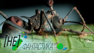 Древнейшие муравьи-зомби. Шокирующая находка ученых, которая спасет Планету