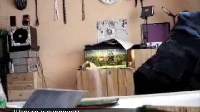 Штанга и аквариум смотреть онлайн