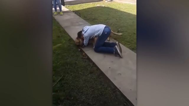 Животные Вернулись к Хозяевам СПУСТЯ ГОДЫ! ? Встреча с Животными После Долгой Разлуки смотреть онлайн