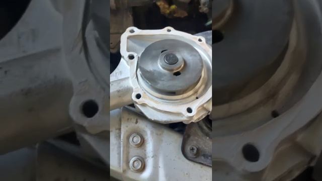 замена помпы на санг йонг кайрон 2.3 бензин . помпа начала подтекать и приклинивать и пищать смотреть онлайн