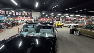 ВЫСТАВКА С МАРАТОМ БОРОДОЙ. РЕАКЦИЯ СТАНТ ДАШИ НА ГРОМКУЮ ВОЛГУ.