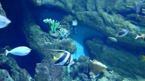 Вода и мир. (Water&World)