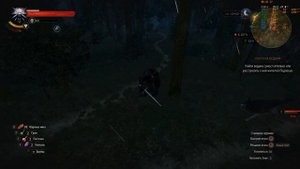 The Witcher 3 крутой мод на плащ