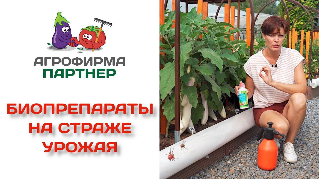 Биопрепараты на страже урожая