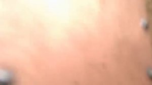 нагреватель для инкубатора.