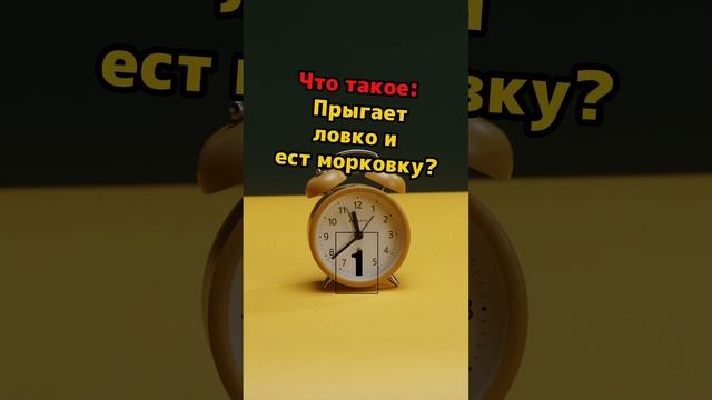 что такое Прыгает ловко и ест морковку?  #юмор   #загадка #загадка