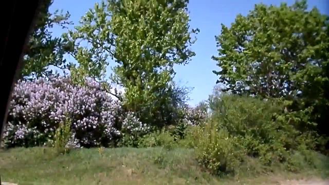 Ботово (Пинский район) смотреть онлайн